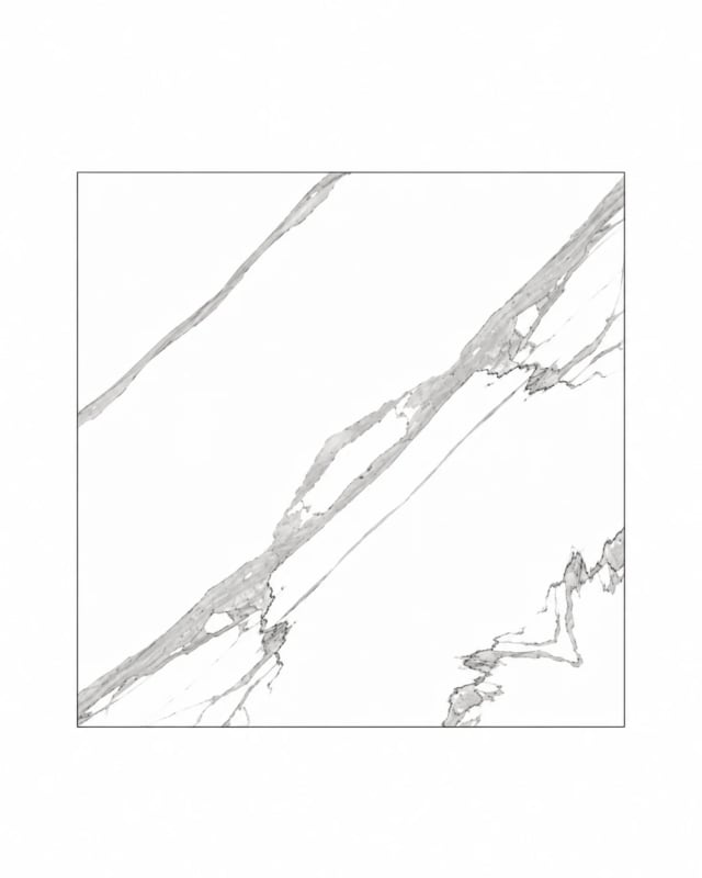 800 X 800 — alternate view