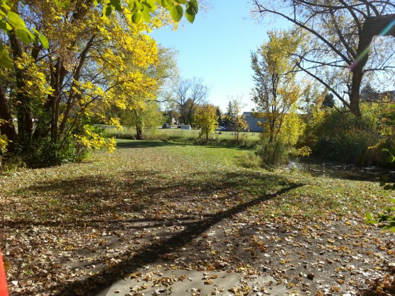 Course Image 1