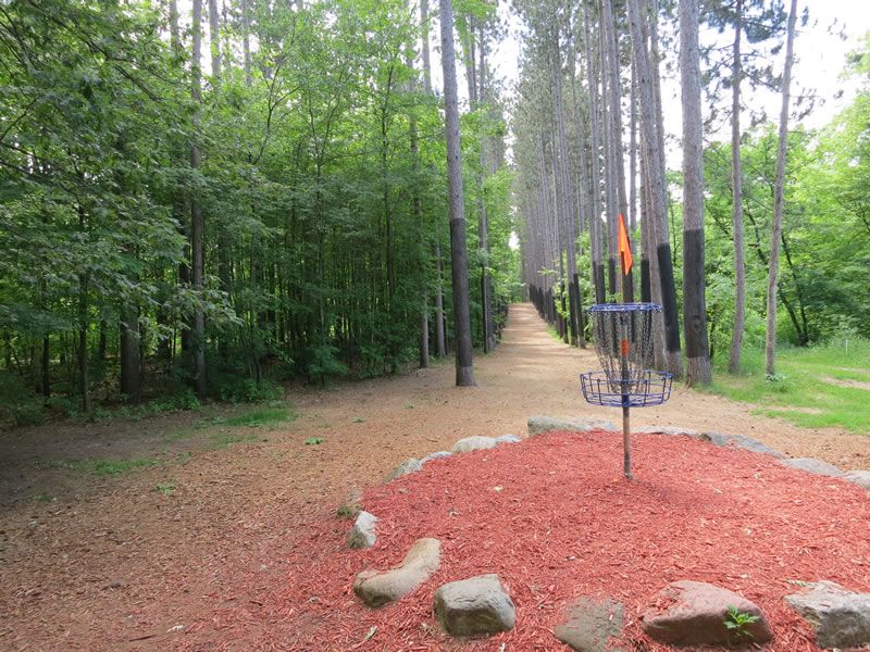 Course Image 1