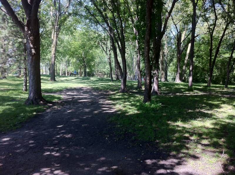 Course Image 1
