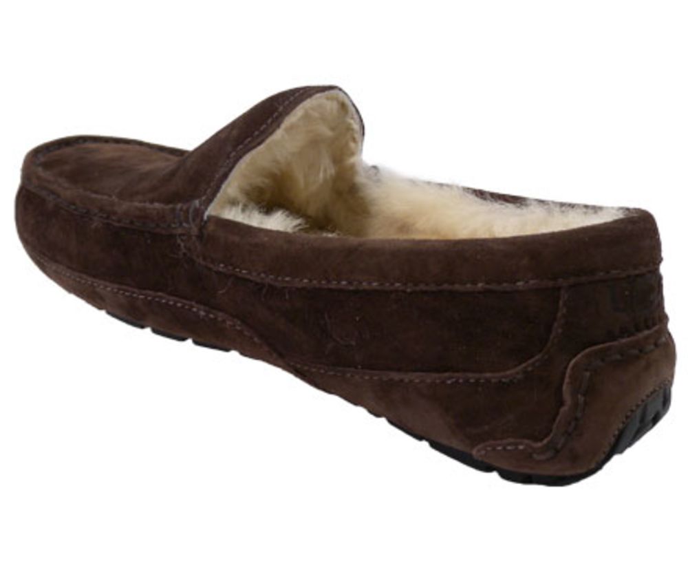 UGG® Ascot Espresso Slippers - Mens Espresso Back View