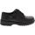 Eastland Plainview Casual Shoes - Womens - Black