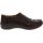 Earth Origins Farraday Slip on Casual Shoes - Womens - Brown