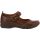 Shoe Color - Dark Brown