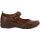 Jambu Emily Slip on Casual Shoes - Womens - Dark Brown