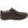 JBU Crimson Slip on Casual Shoes - Womens - Brown