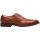 Shoe Color - Cognac