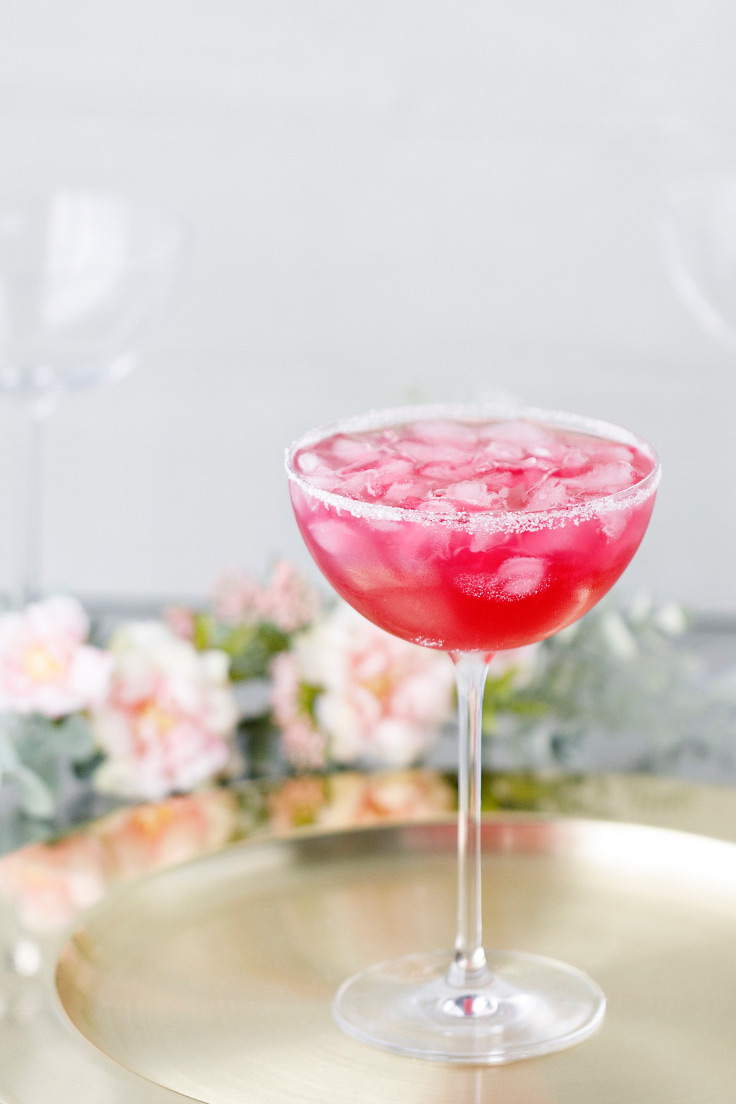 Amoretti Prickly Pear Punch Recipe