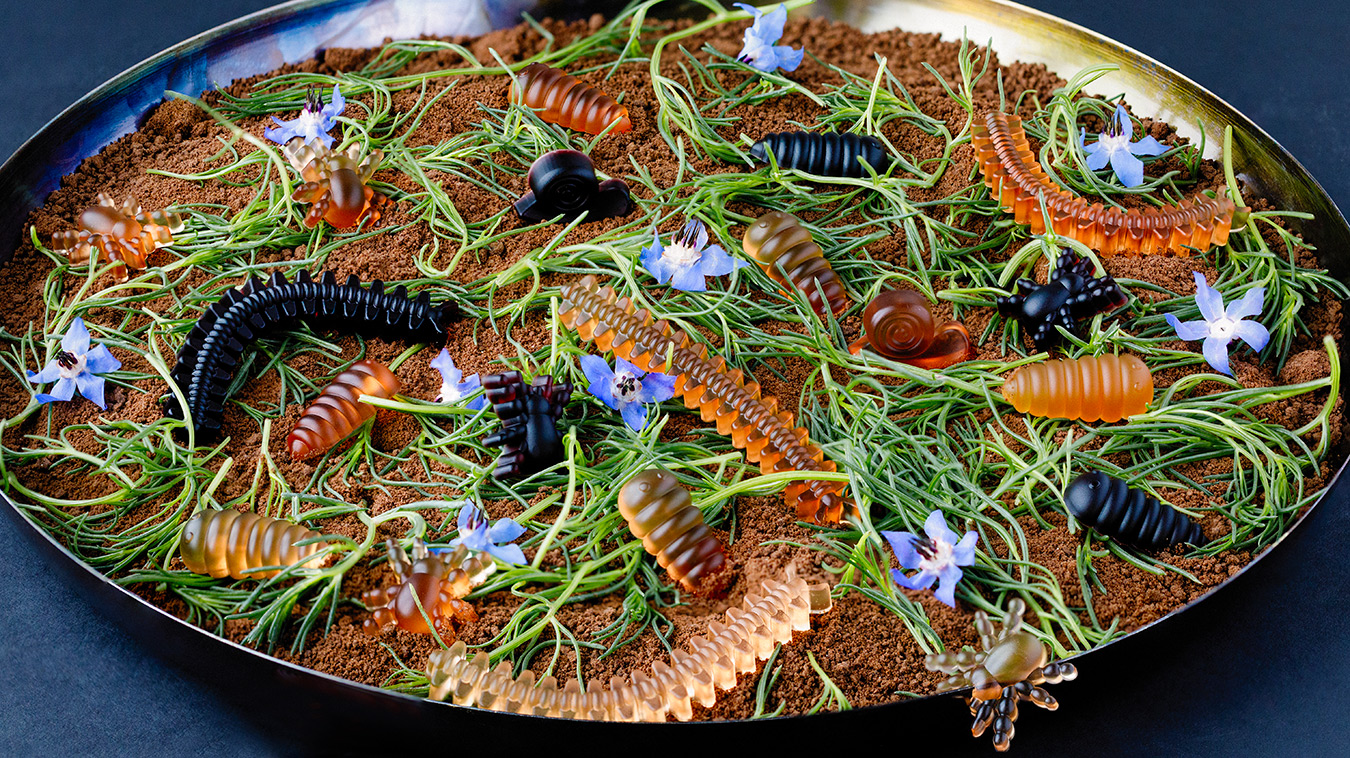 Amoretti Recipe: Gummy Grubs