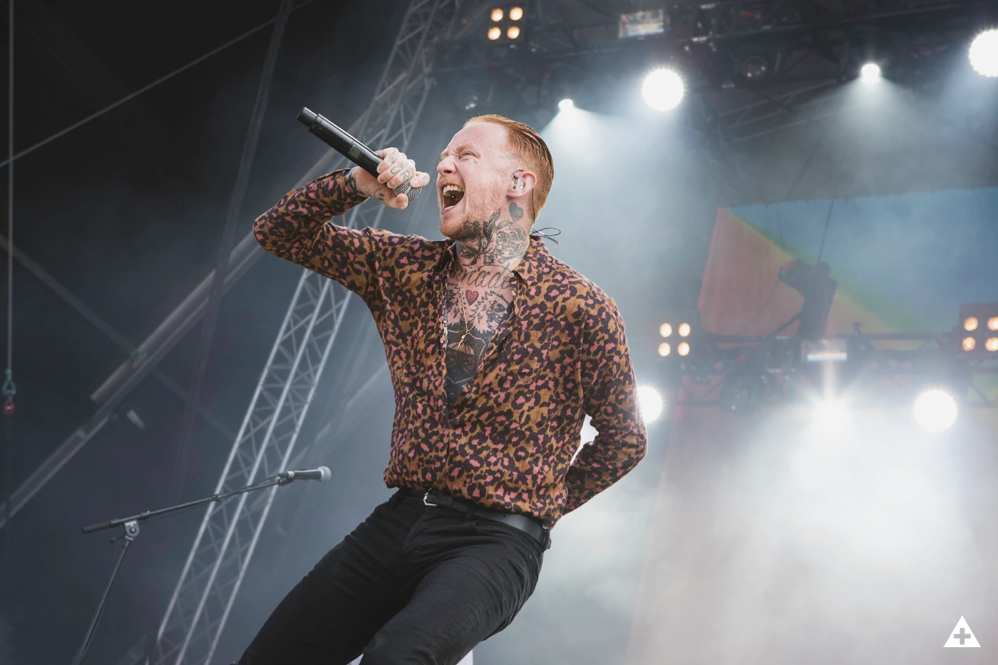 This is Frank Carter and the Rattlesnakes
