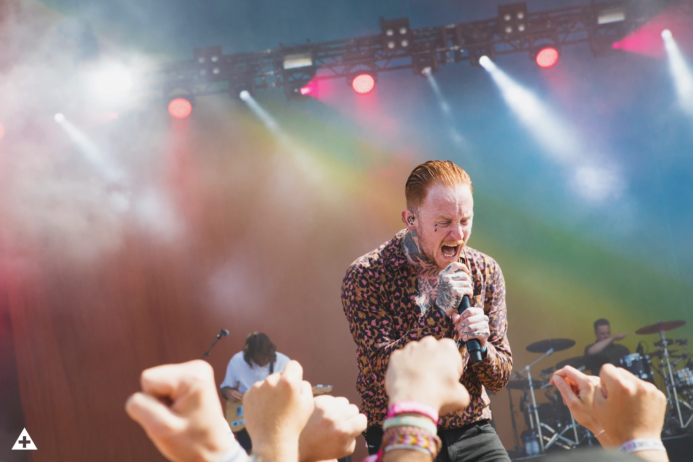 This is Frank Carter and the Rattlesnakes