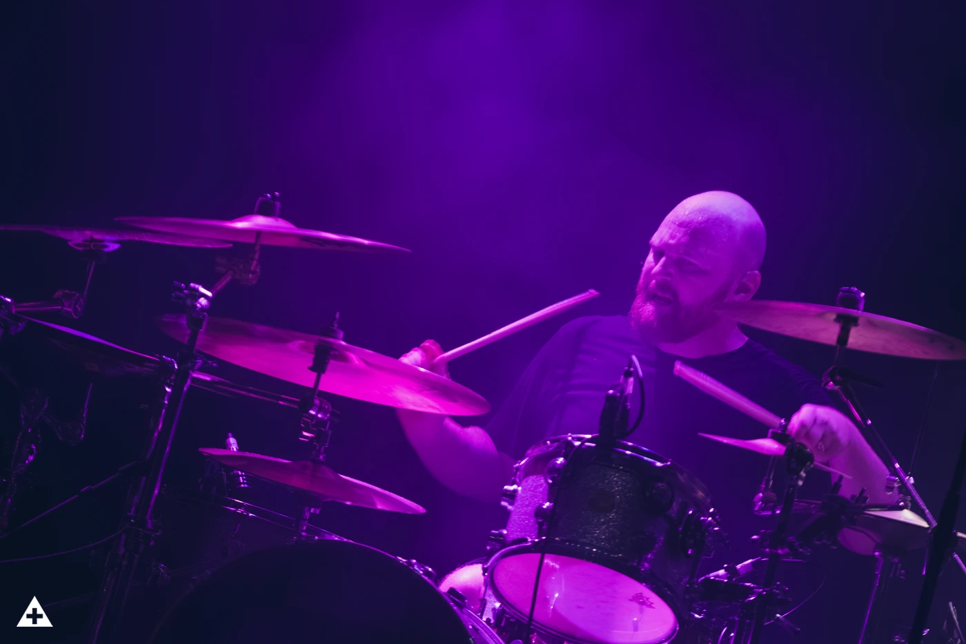 This is Caligulas Horse