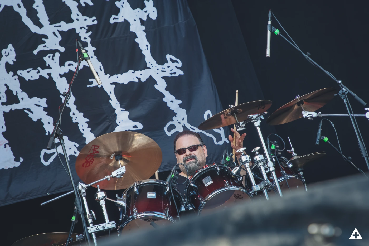 This is Napalm Death