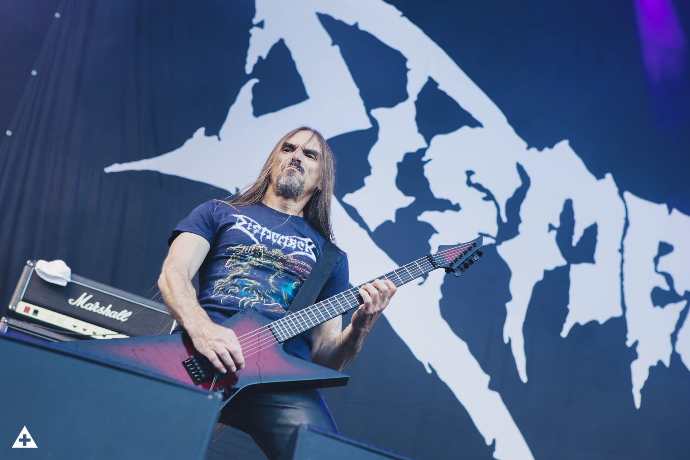 This is Dismember
