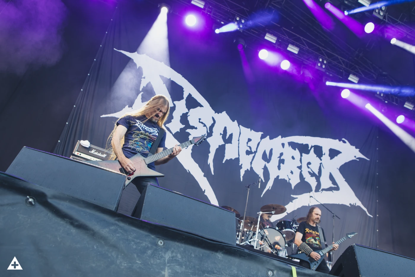 This is Dismember