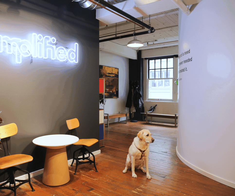 A cute dog sitting in the office entryway