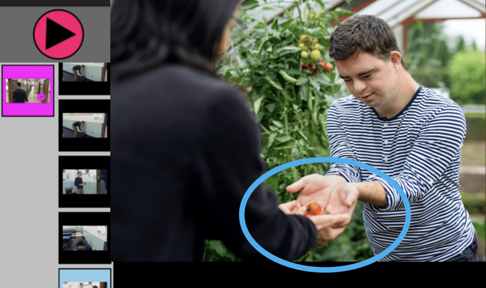 Image of boy holding out hands with tomatoes, blue circle around hands