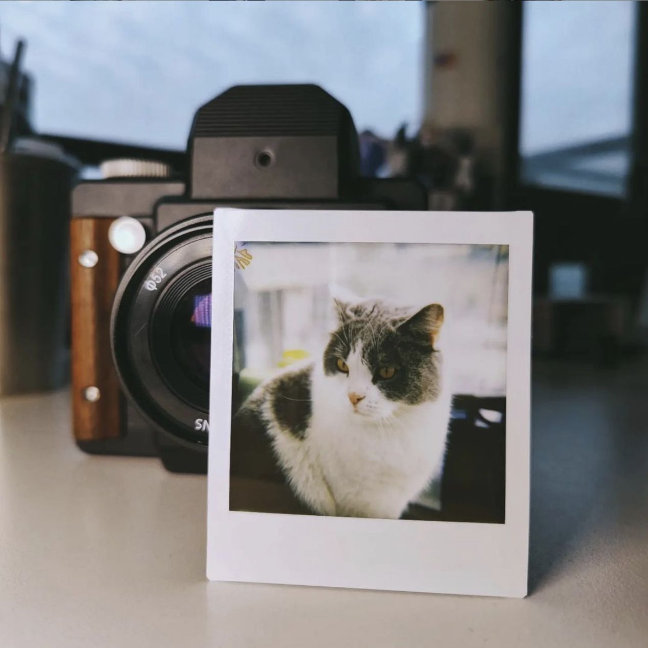 Film Photography News — January 2022 Recap