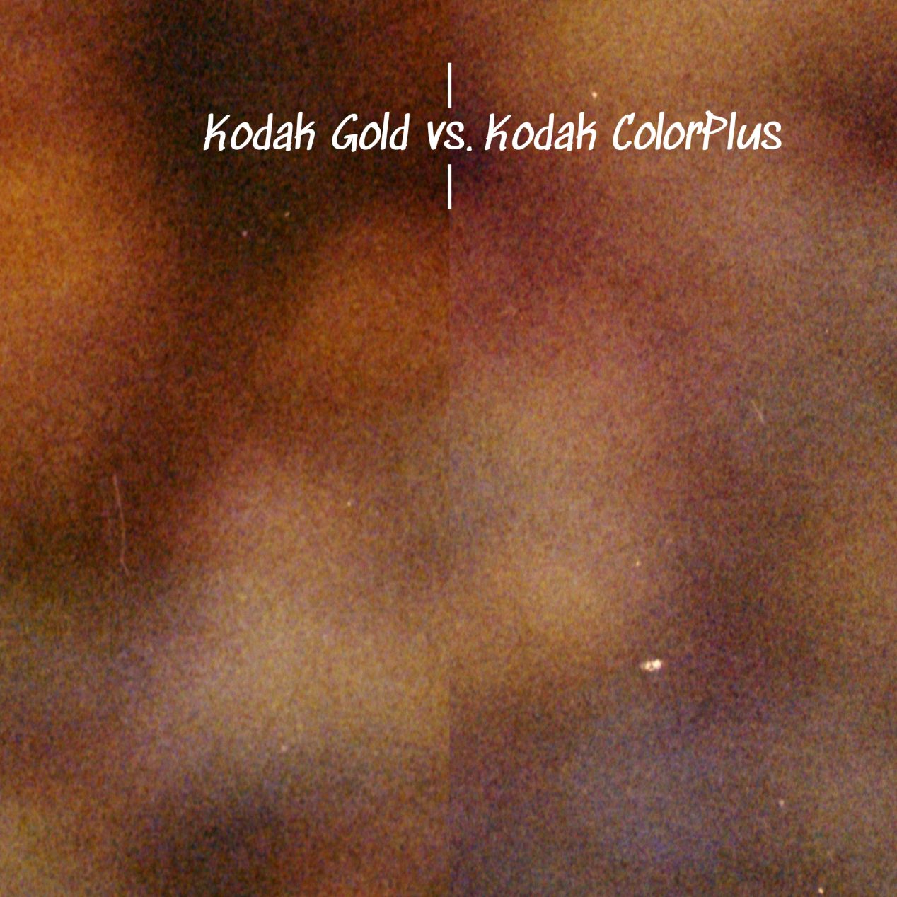 Kodak Gold vs. ColorPlus SidebySide Comparison