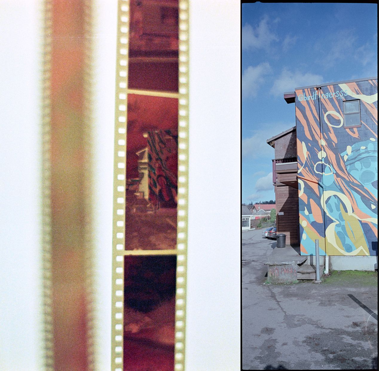 Kodak Aerocolor IV Film Review