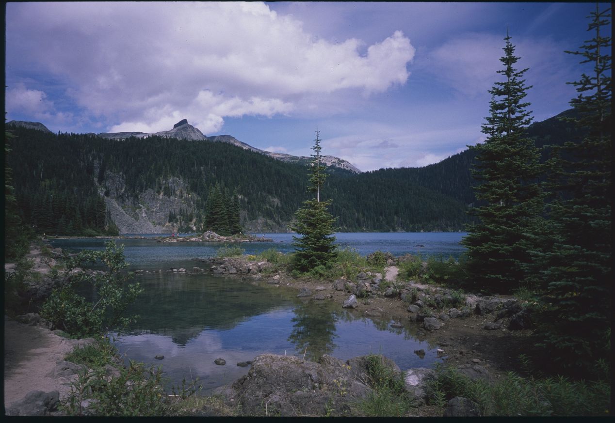 Slide Film vs Color Negative: Portra 160, Provia 100F & Velvia 100