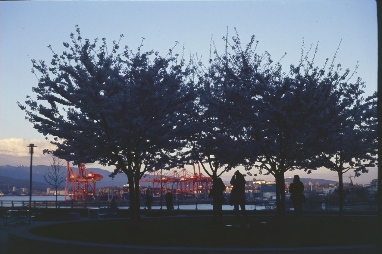 Steamboats, Viaducts, and Railways