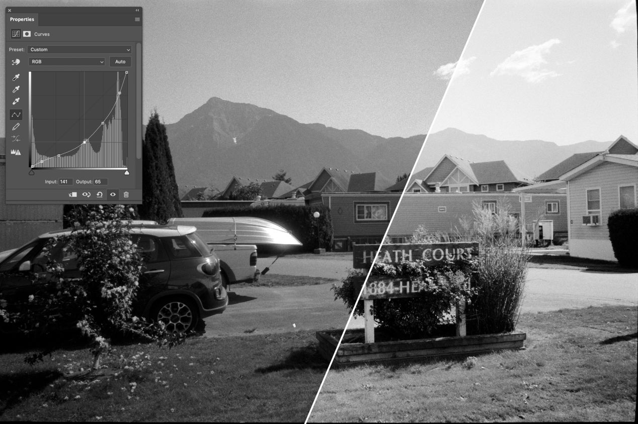 Ilford Ortho Plus 80 Film Review