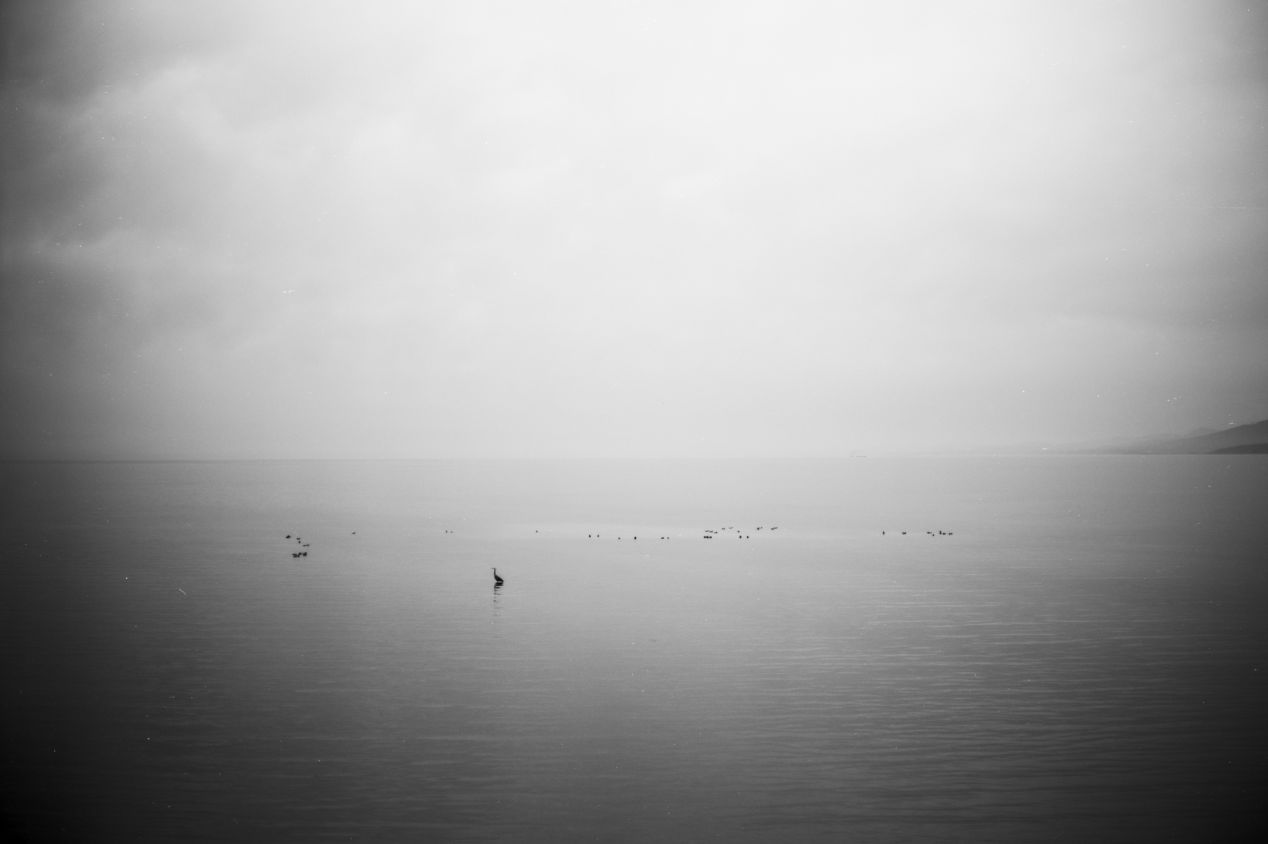 Dynamic Range in Film Photography