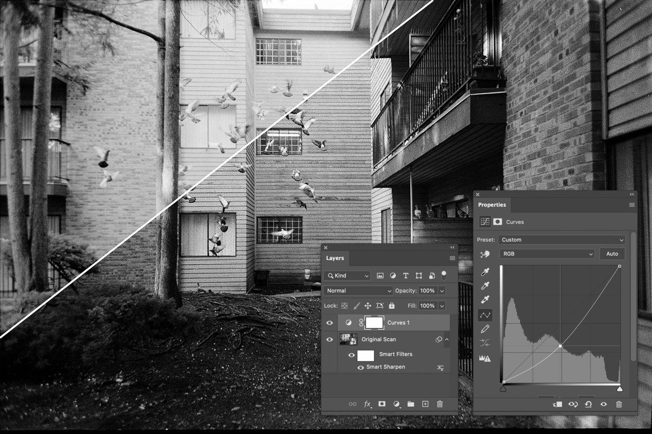 Ilford HP5+ Film Review