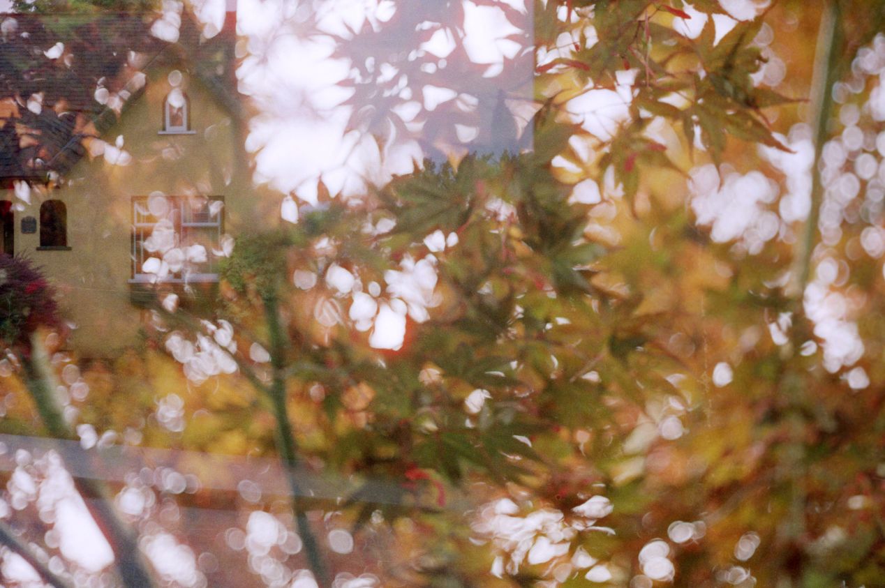 Canon QL17 GIII Film Camera Review