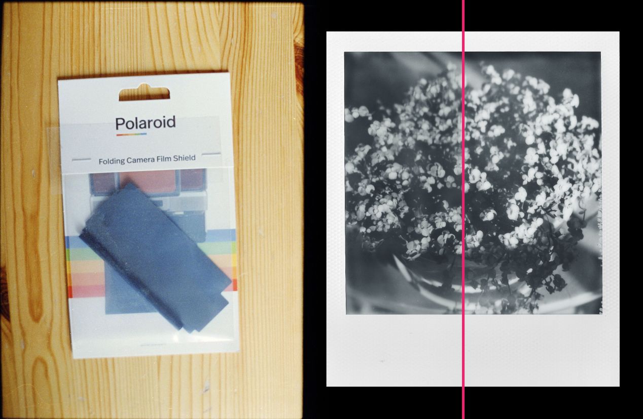 Polaroid Camera: How Do Polaroids Work?