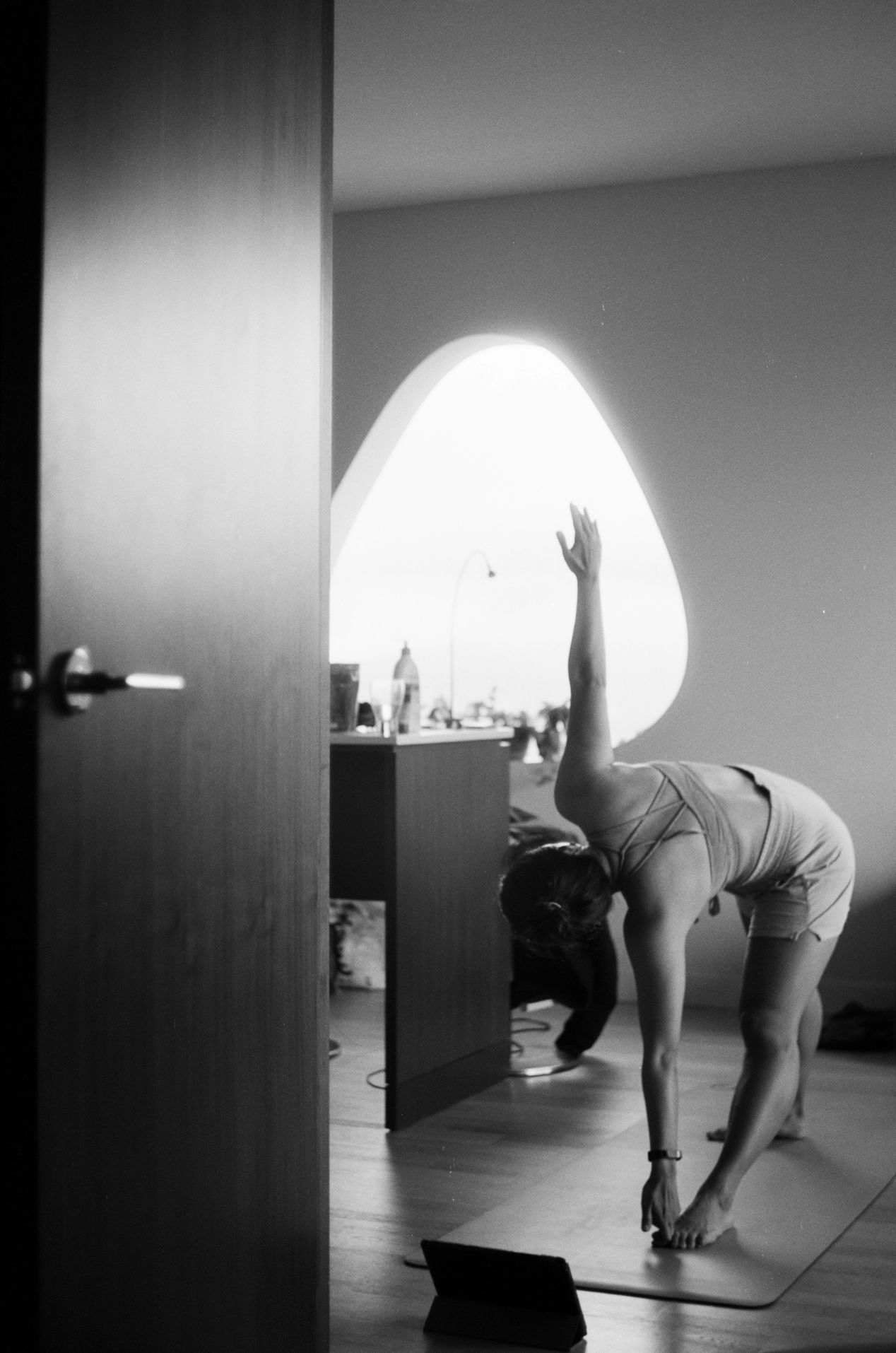 Ilford Ortho Plus 80 Film Review