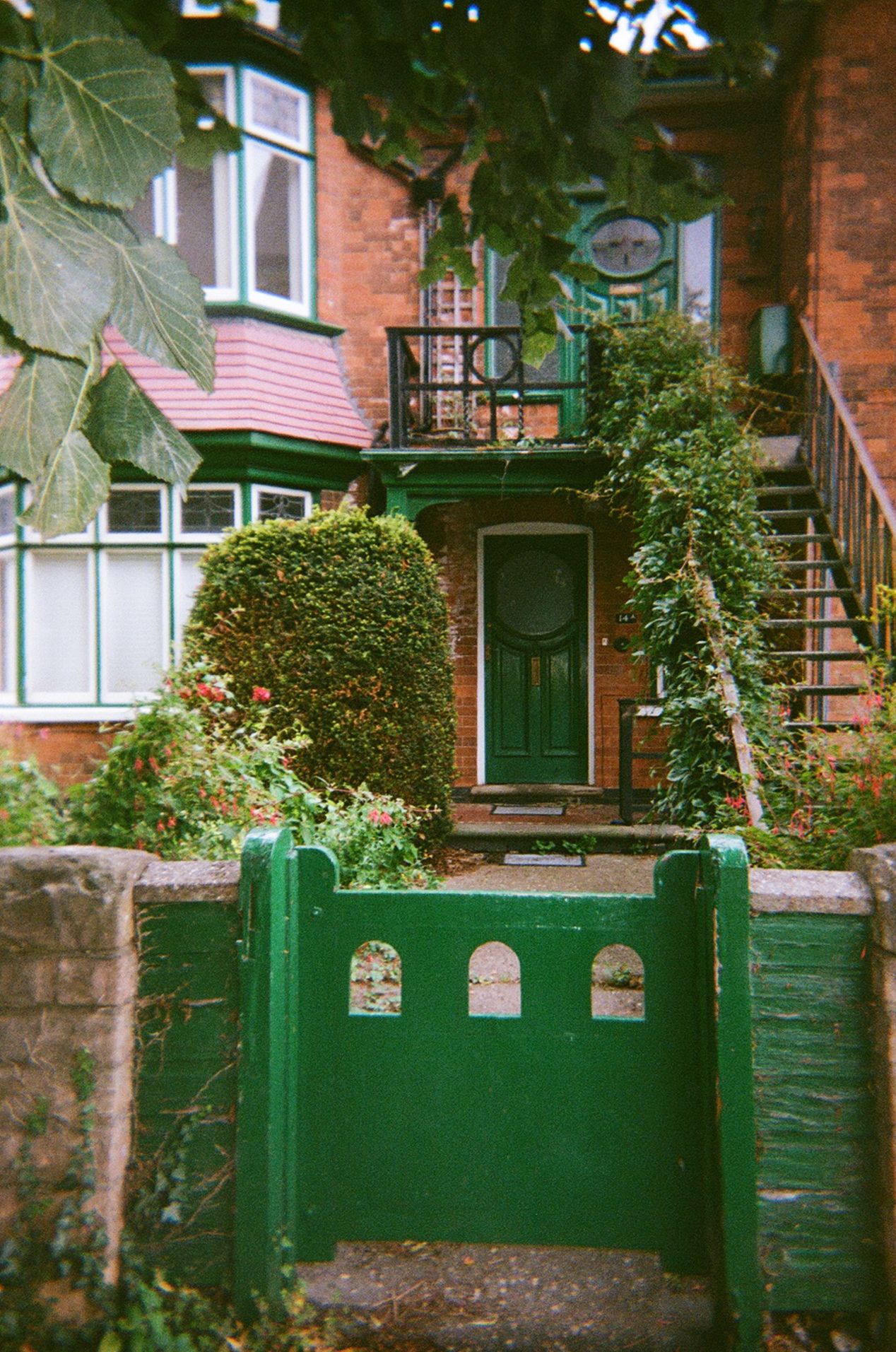 Film Photography News — November 2021 Recap