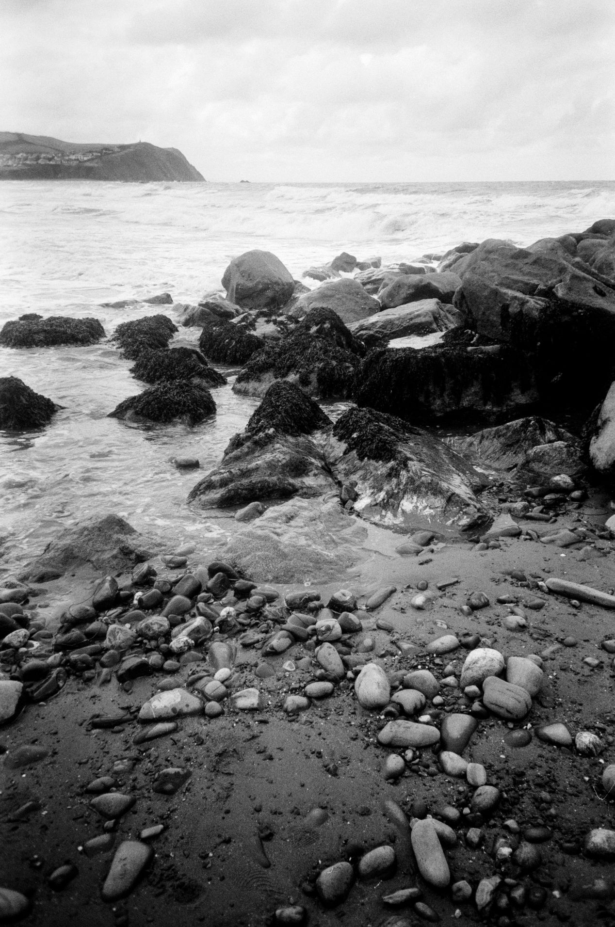 Film Photography News — October 2021 Recap