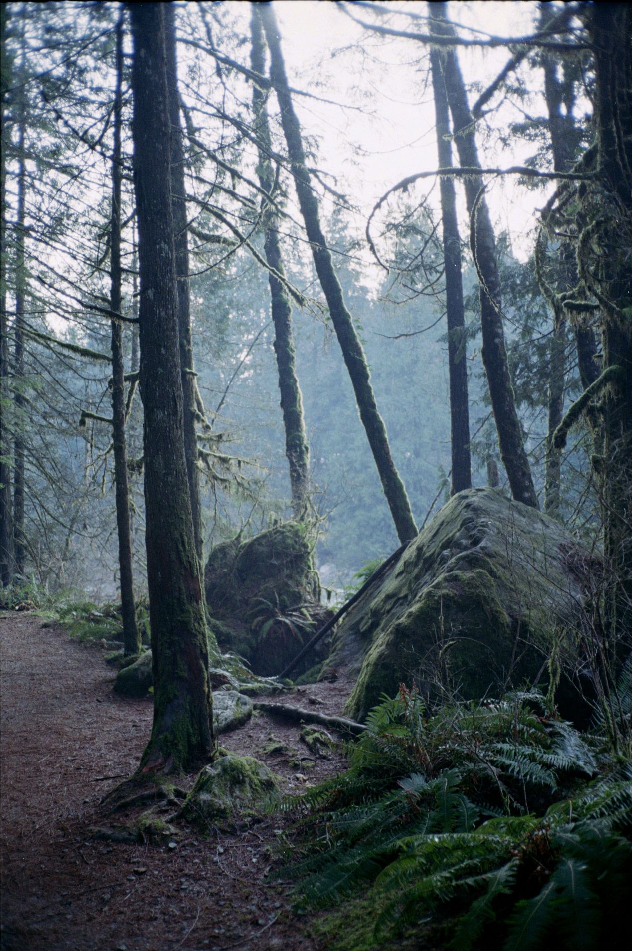 Olympus Mju II Stylus Epic Compact Camera Review