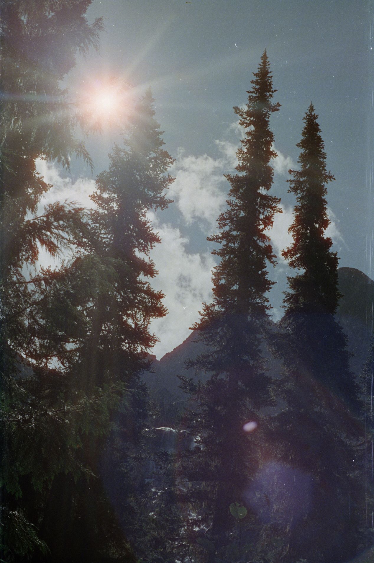 CineStill 800T is a modern Kodak emulsion with a remarkable dynamic range. In this image, the film captures details simultaneously in the tree shadow and within the sunburst without any banding or extreme distortions. If you subscribe to the film latitude definition in this article, you’ll notice plenty of it in this emulsion’s ability to gradually fade regions out of its dynamic range into pure whites and pitch blacks.
