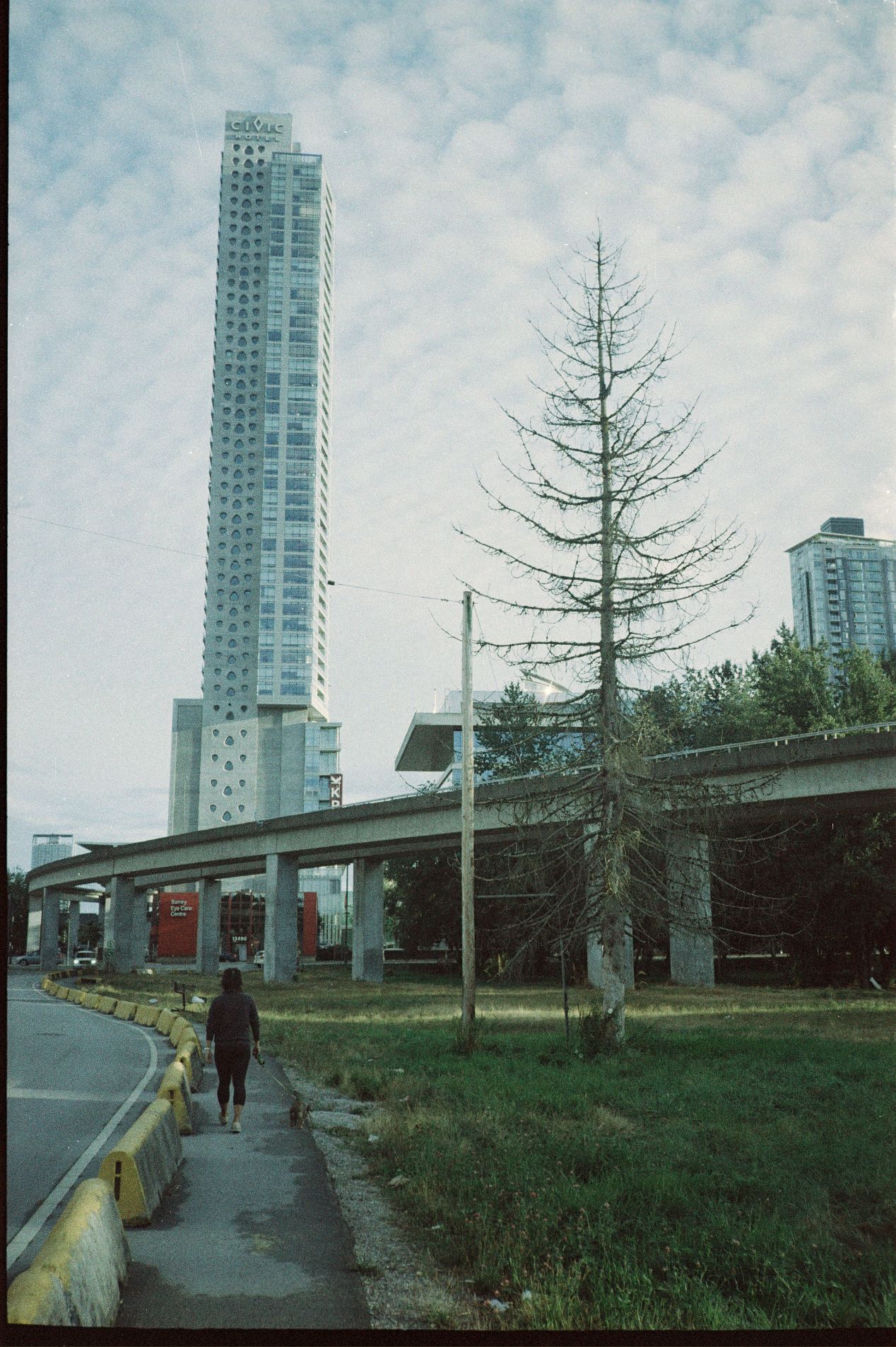 Chinon Bellami A Tiny 35mm “Barn Door” PointandShoot