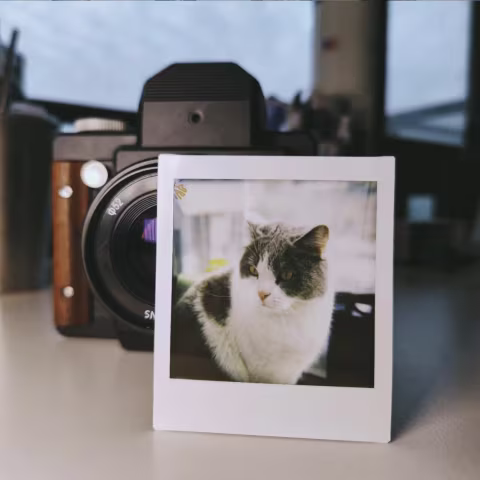 Small image.