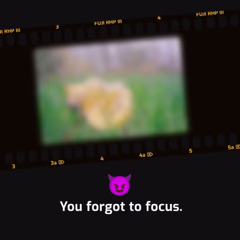 Bad Film Simulator is an app that generates real film effects better than any preset on the market.
Are you tired of c…