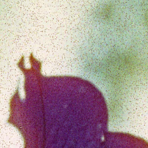 A close-up of the above scan reveals a dot pattern on a light background. I increased the contrast here to make it more visible.