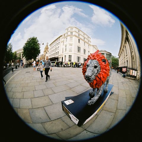 The Lion Trail, one of the lion statues of the temporary exhibition.  In the background,  a  line of people at one of the charitable food stations, St. Martin-in-the -Fields church.