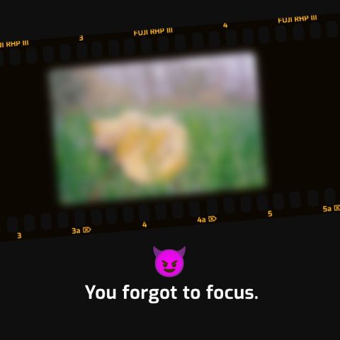 Small image.