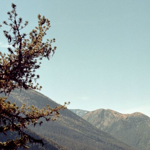 Crop enlargement from above: Stitched medium format panorama on Kodak Gold with Mamiya RZ67 and Mamiya-Sekor Shift Z 75mm f4.5 W RZ lens.