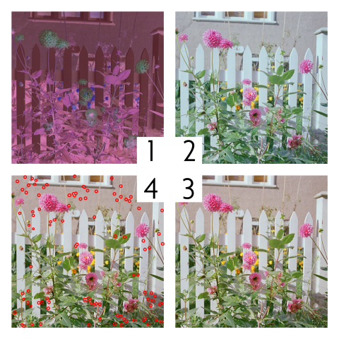 Small image.