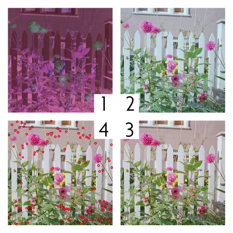 Can You Scan Film Without Changing Its Look?
