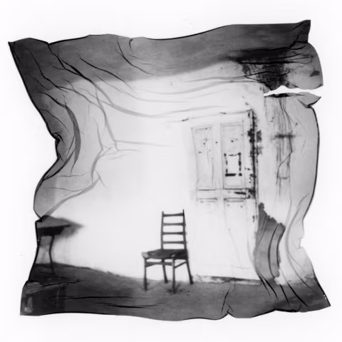 polaroid emulsion lift