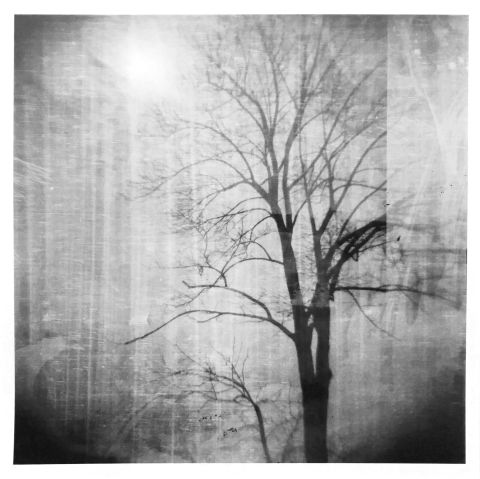 A photograph that was taken with medium format Lomography Holga 120 TLR camera and optically printed on photographic paper.