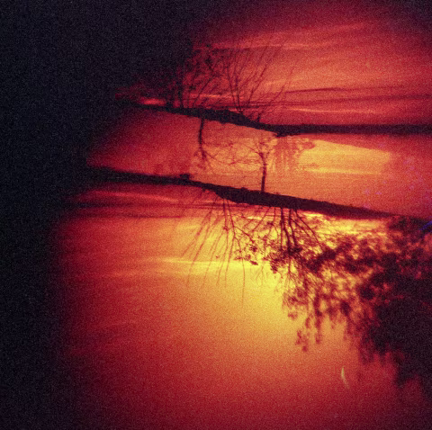 Large image.