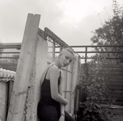 Large image.