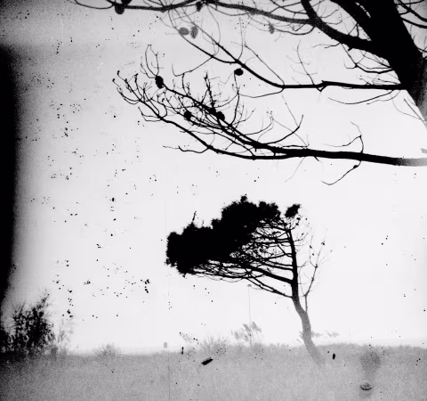 Small image.